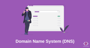 Domain Name System (DNS)