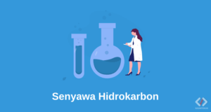 Laporan Praktikum Kimia Organik 1 Senyawa Hidrokarbon