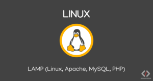 Cara Install LAMP (Linux, Apache, MySQL, PHP)